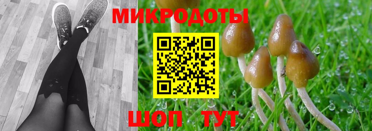 Псилоцибиновые грибы Magic Shrooms  Галлюциногенные грибы MAGIC MUSHROOMS  Котельники  Вход с VPN 
