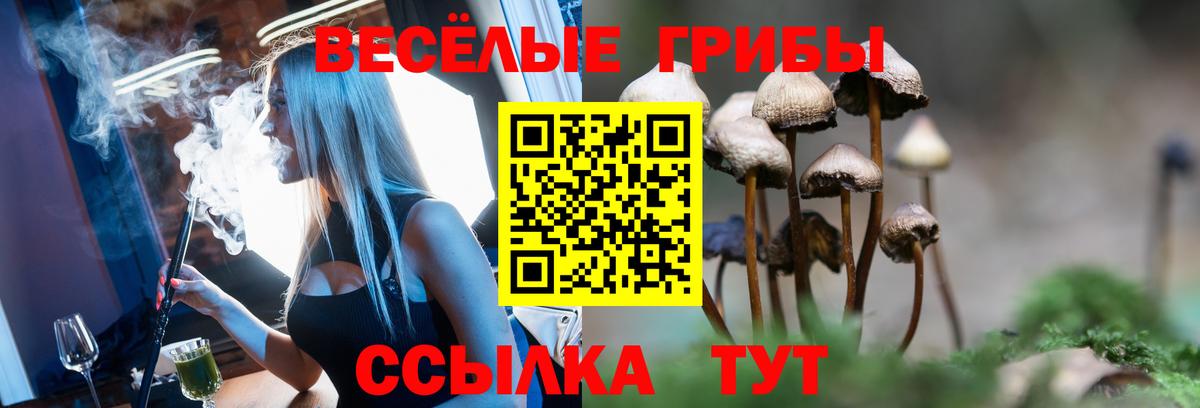 Вейп ТГК  Cocaine  Гашиш  Котельники  МДМА  Вход с VPN  ГАШИШ  Бошки Шишки  МЕФ кристаллы 